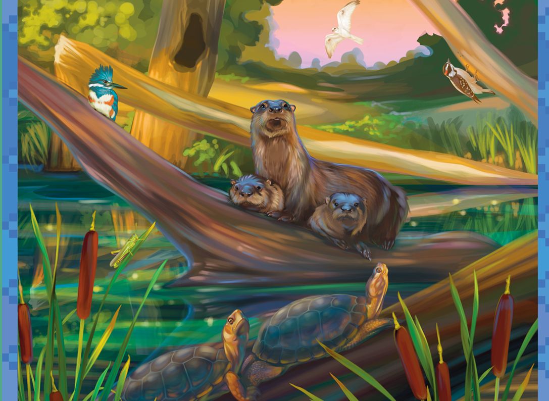 River otter family sits on a log with Kingfisher. Woodpecker on the tree above. . Turtles sit nearby. Cattails in front.