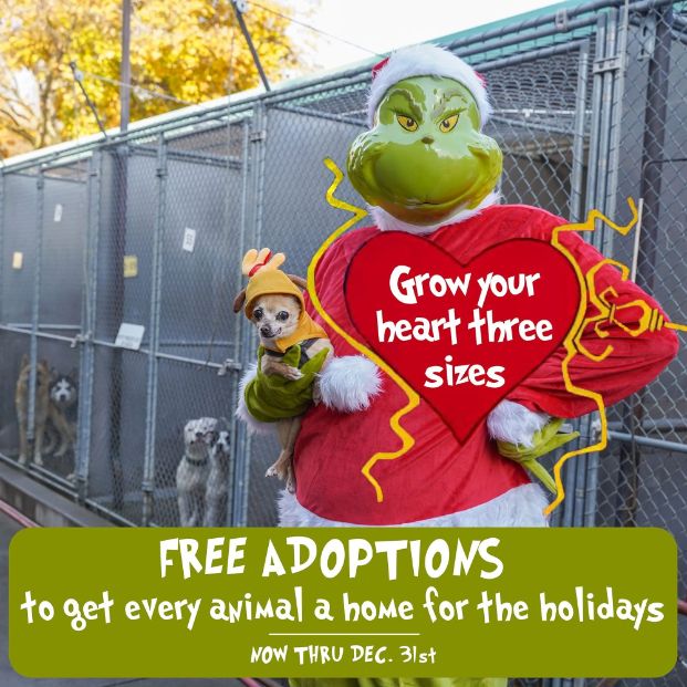 Grinch holding a small dog and standing in front of a kennel of dogs