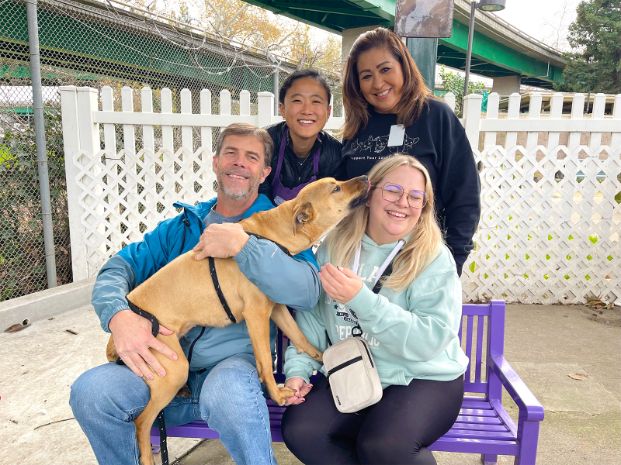 adoption counselors helping a man and a woman get acquainted with a dog in the play yard