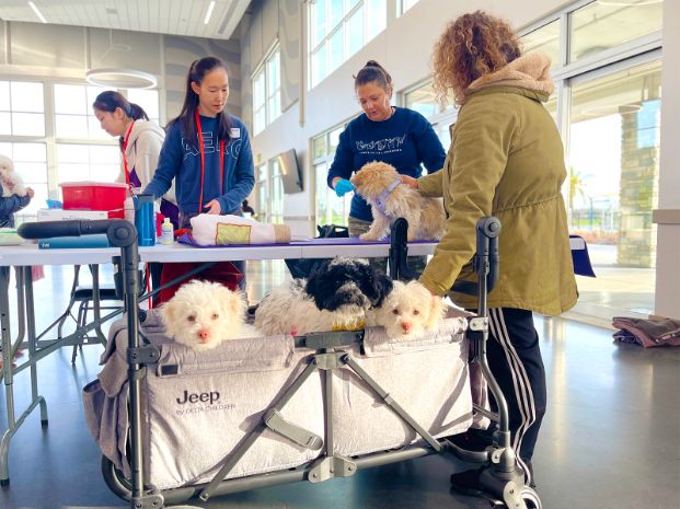 two volunteers helping an owner with four small dogs at a community center