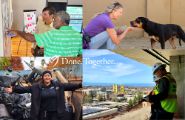 Four picture collage of each division (planning, animal care, code, and building) with text saying "Done Together" in the center.