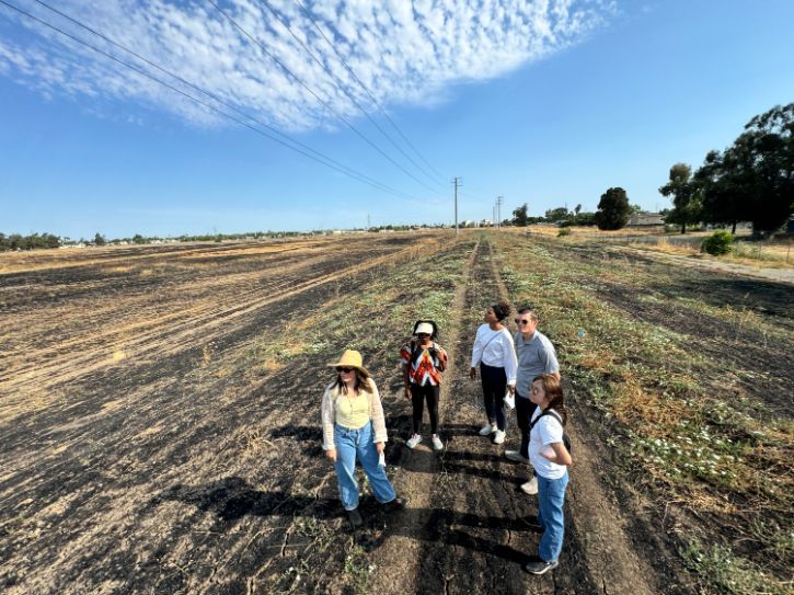 aerial photo of land with five people standing on the land.