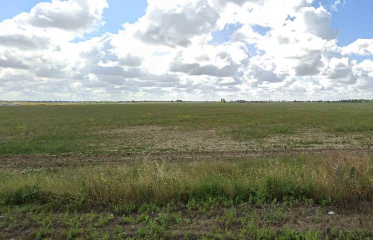 vacant land of green grass with blue sky and white clouds