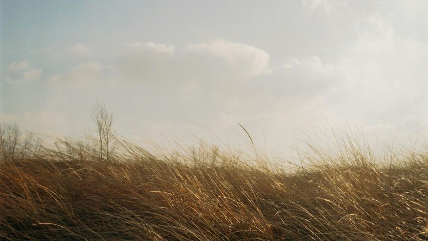 Field, clouds