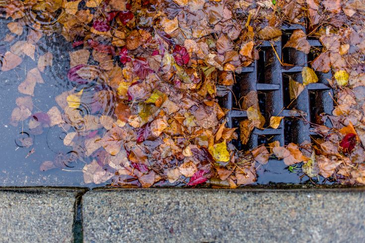 Fall leaves coveringdrain, water