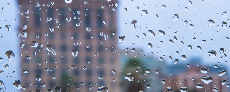 Raindrops on window