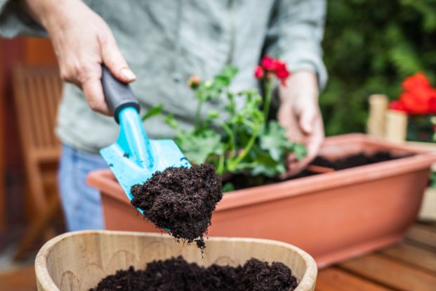 Compost giveaway program